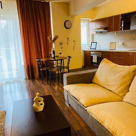 Eclipse Apartment Free Parking Cluj-Napoca Extérieur photo
